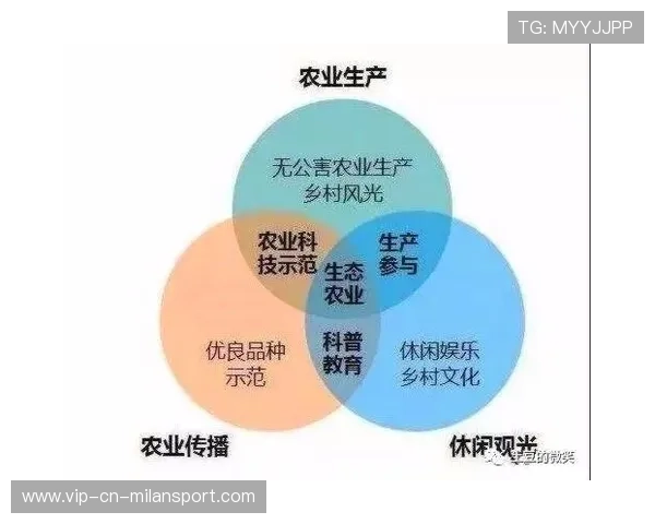 俱乐部生态链延伸：教育与旅游业务并行发展